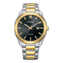 Citizen Eco-Drive BM7606-84E Two-Tone Gold Steel Men Watch