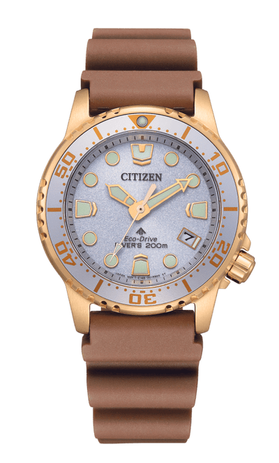 Citizen Promaster EO2022-02A Eco-Drive Grey Dial Diver Women Watch