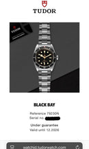 [Pre-Owned] Tudor Black Bay 41 79230/79230N Black Gilt Automatic Men Diver Watch