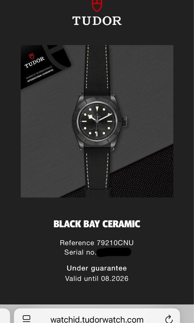 [Pre-Owned] Tudor Black Bay 41 79210 Black Ceramic Automatic Men Diver Watch