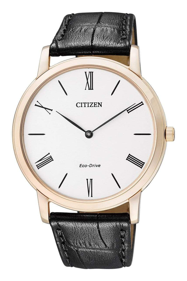 Citizen Eco-Drive AR1113-12B Analog Men Watch Malaysia