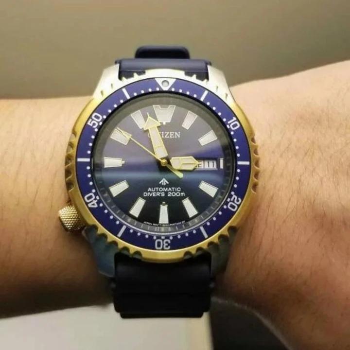 Citizen Promaster NY0096-12LB FUGU Automatic Men Diver Watch Malaysia