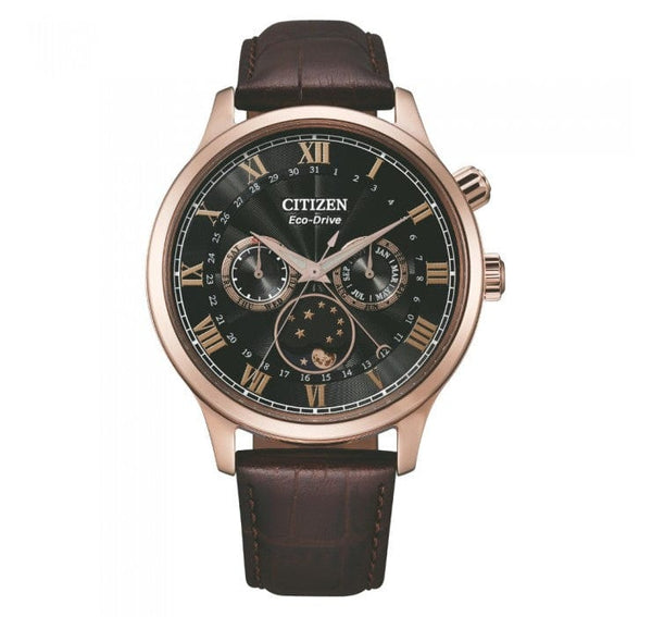 Citizen Eco-Drive AP1059-19E Water Resistant Men Watch Malaysia