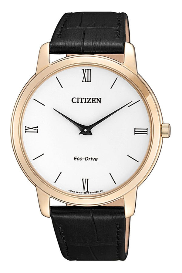 Citizen Eco-Drive AR1133-23A Analog Men Watch Malaysia