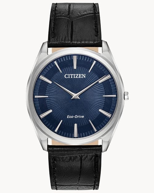 Citizen Eco-Drive AR3070-04L Analog Men Watch Malaysia