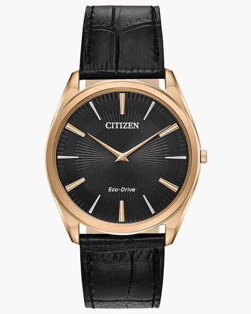 Citizen Eco-Drive AR3073-06E Analog Men Watch Malaysia