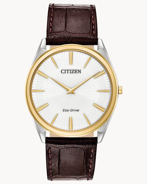 Citizen Eco-Drive AR3074-03A  Analog Men Watch Malaysia