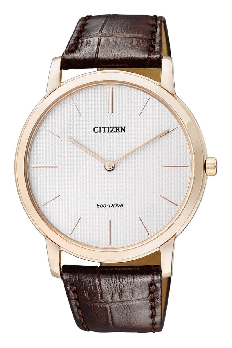 Citizen Eco-Drive AR1113-12A Analog Men Watch Malaysia