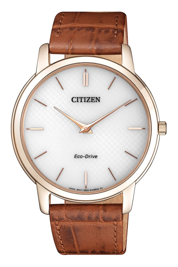 Citizen Eco-Drive AR1133-15A  Analog Men Watch Malaysia